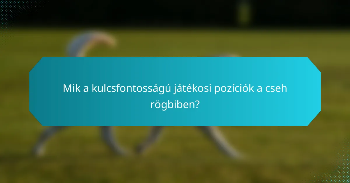 Mik a kulcsfontosságú játékosi pozíciók a cseh rögbiben?